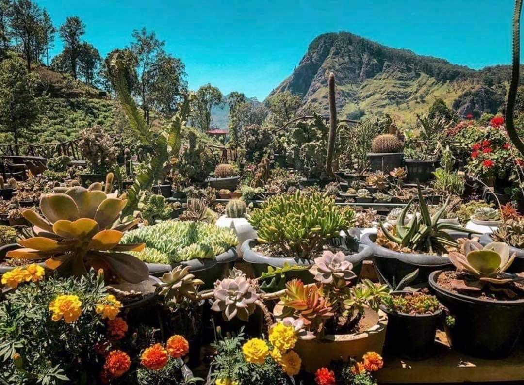 Ella Flower Garden Resort ภายนอก รูปภาพ