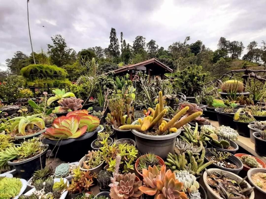 Ella Flower Garden Resort ภายนอก รูปภาพ