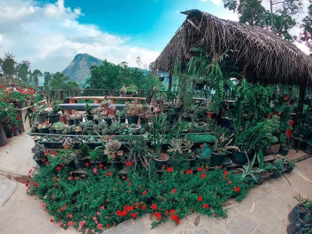 Ella Flower Garden Resort ภายนอก รูปภาพ
