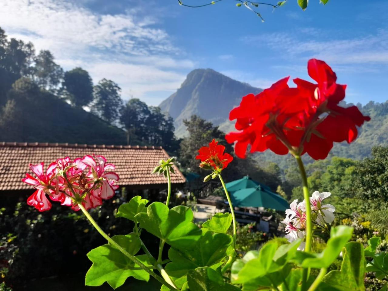 Ella Flower Garden Resort ภายนอก รูปภาพ